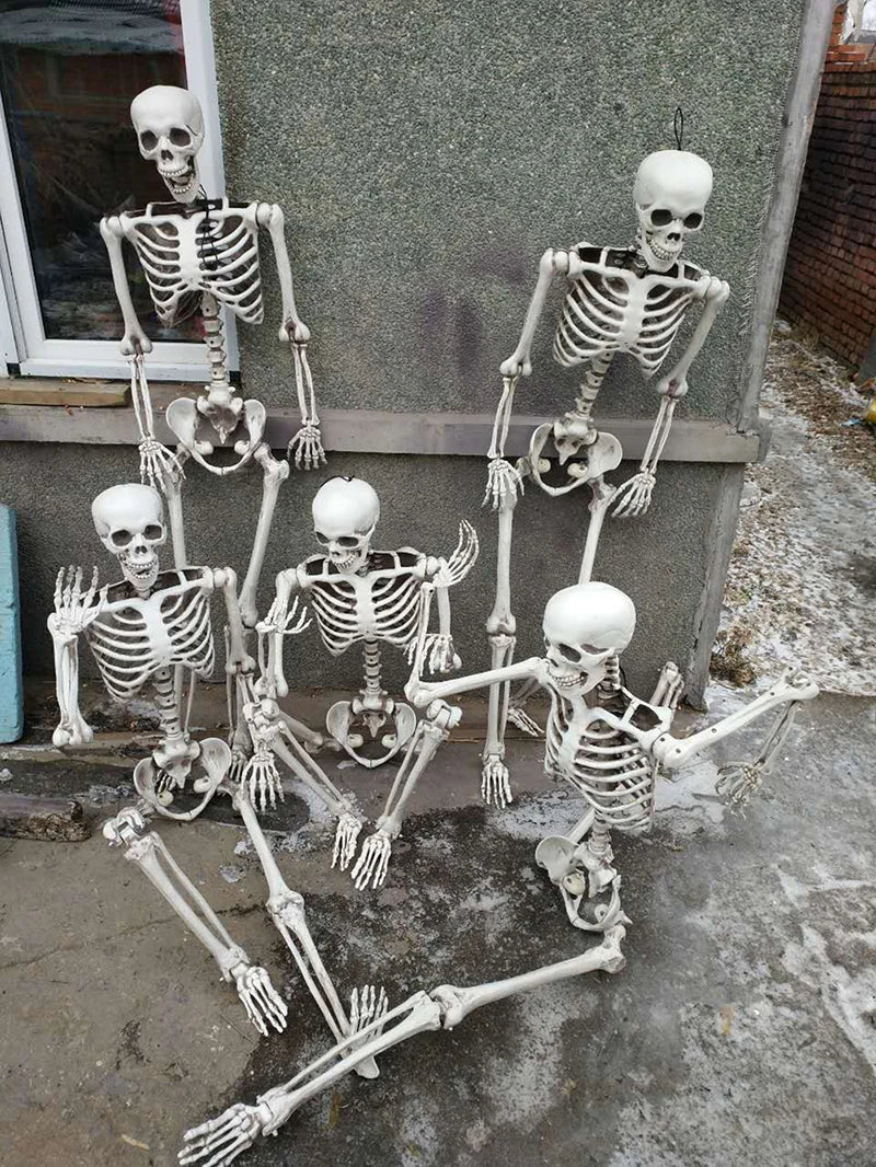 Life Size Halloween Skeleton Decoration-3