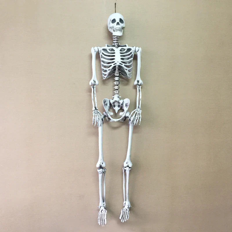 Life Size Halloween Skeleton Decoration-1