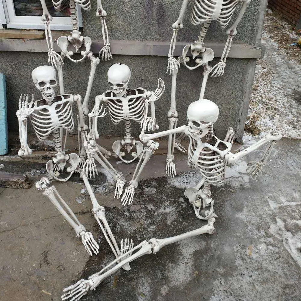 Life Size Halloween Skeleton Decoration-2